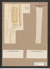 Diatomeae indet. Zeichnungen Sammlung Grunow Nr. 1467 (NHMW-BOT-W0368475)